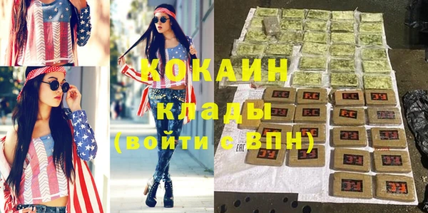 стаф Аркадак