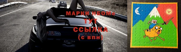 стаф Аркадак
