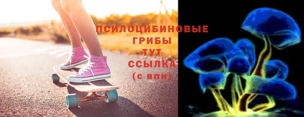 гашик Арсеньев