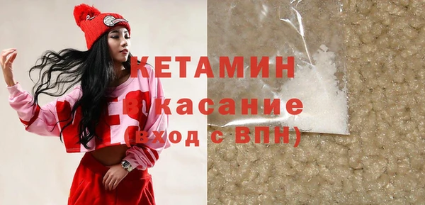 стаф Аркадак