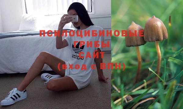 ПСИЛОЦИБИНОВЫЕ ГРИБЫ Алексеевка