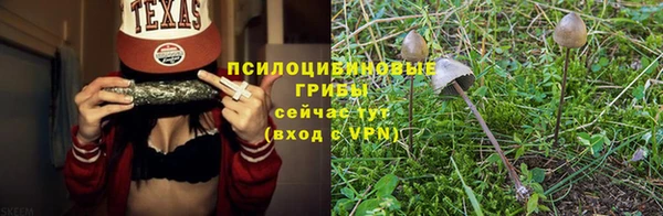 дживик Армянск