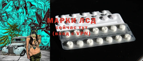 стаф Аркадак