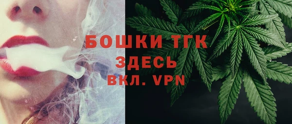 гашик Арсеньев