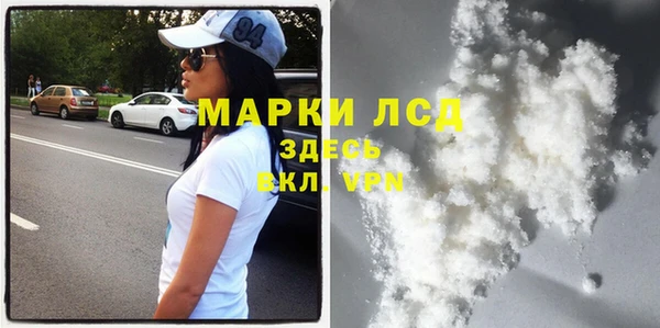 гашик Арсеньев