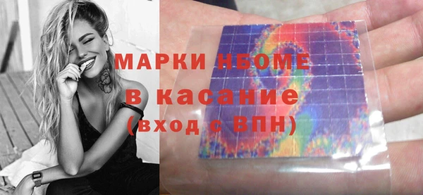 стаф Аркадак
