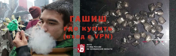 стаф Аркадак