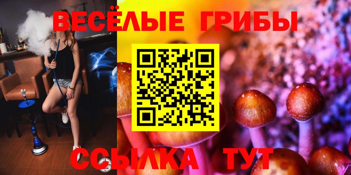 Галлюциногенные грибы мицелий Асбест